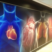 printed-hospital-wall-graphics