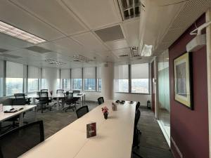 Office Window Tinting