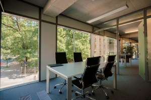 Office Glass Tinting